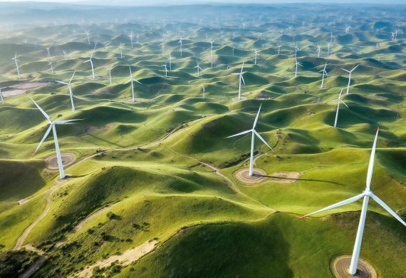 Energia Rinnovabile e Transizione Energetica: Innovazioni nel Campo delle Energie Rinnovabili e la Transizione verso un’Economia a Basso Tenore di Carbonio