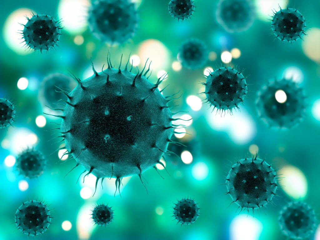 Virus Nipah: il nuovo focolaio in India, trasmissibile dagli animali all’uomo