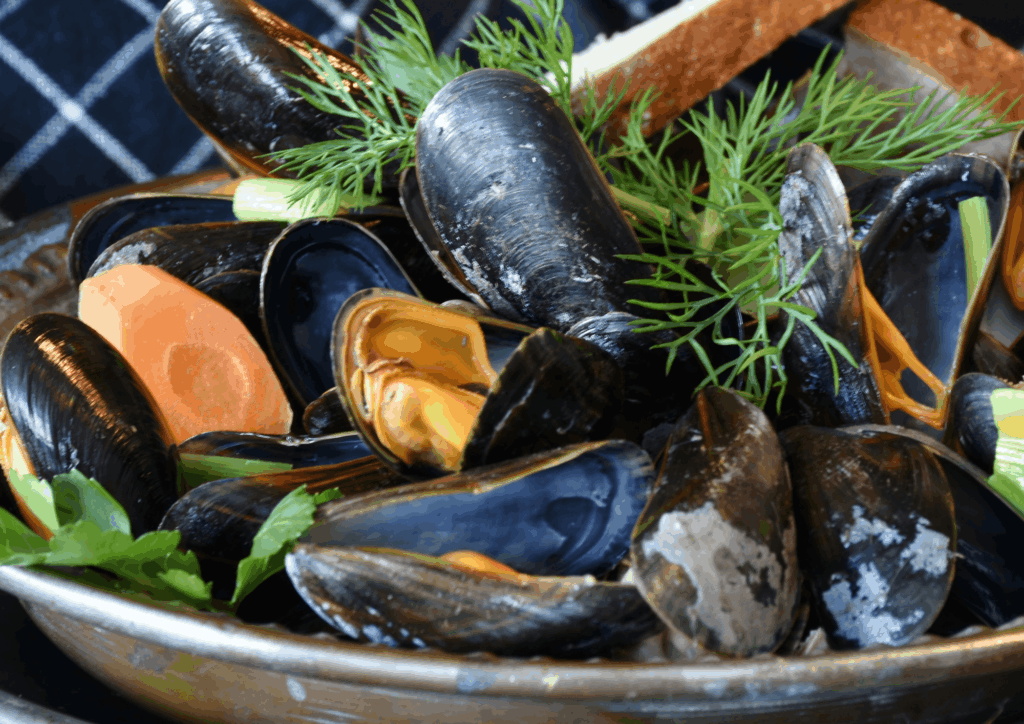 01 cozze.bahiana
