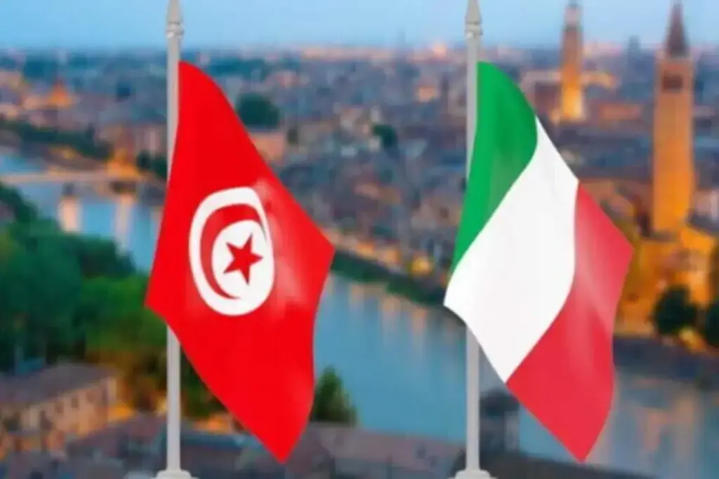 Investire in Tunisia: La guida completa per navigare la nuova economia tunisina, dalle opportunità di settore alle procedure pratiche di insediamento